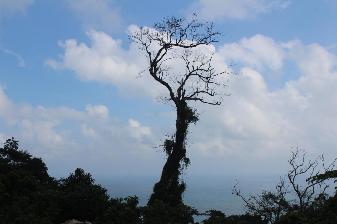 Cham Island Smiles Homestay Tân Hiệ Εξωτερικό φωτογραφία